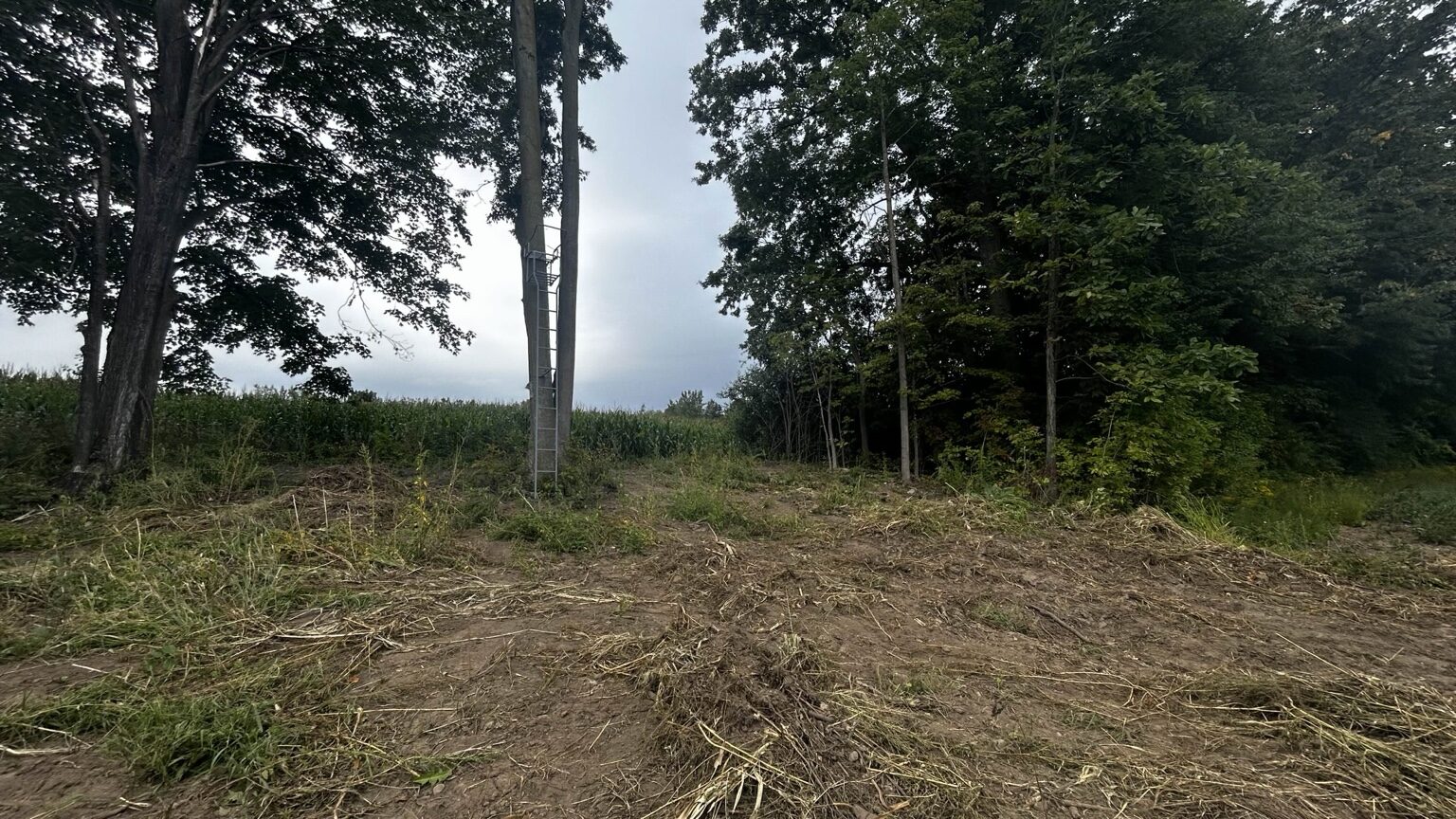 Property before RoughRange clearing work