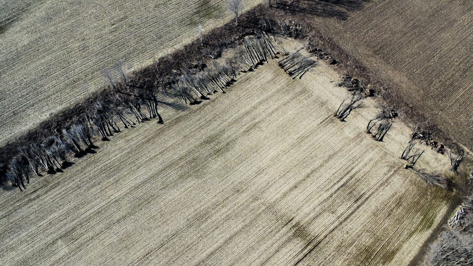 Aerial view of cleared field edge and tree line