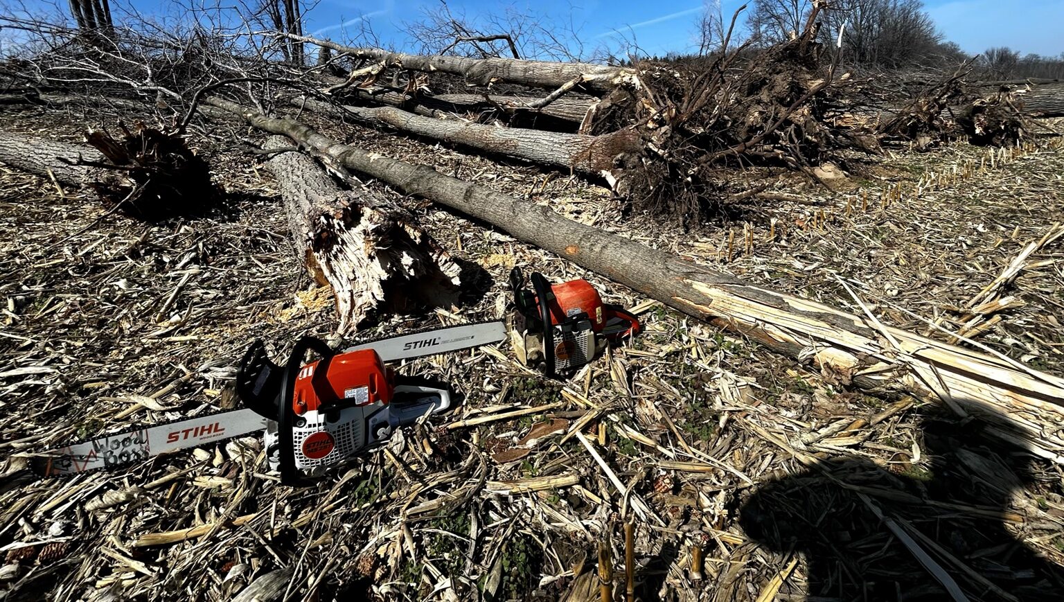 Chainsaws and cleared trees on a property project
